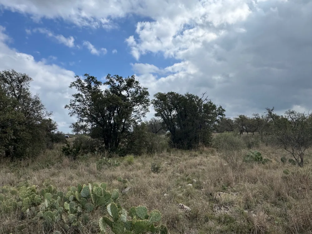 34 Eagle Feather Kingsland, TX 78639