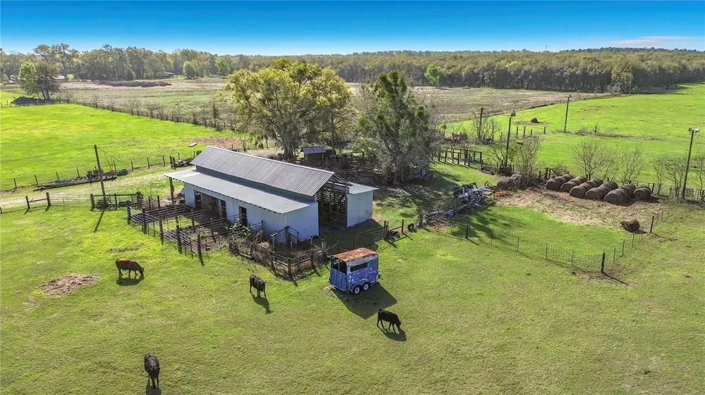 855 NE 107TH ROAD Oxford, FL 34484