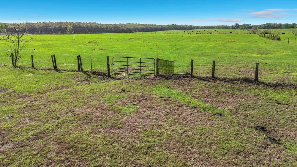 855 NE 107TH ROAD Oxford, FL 34484