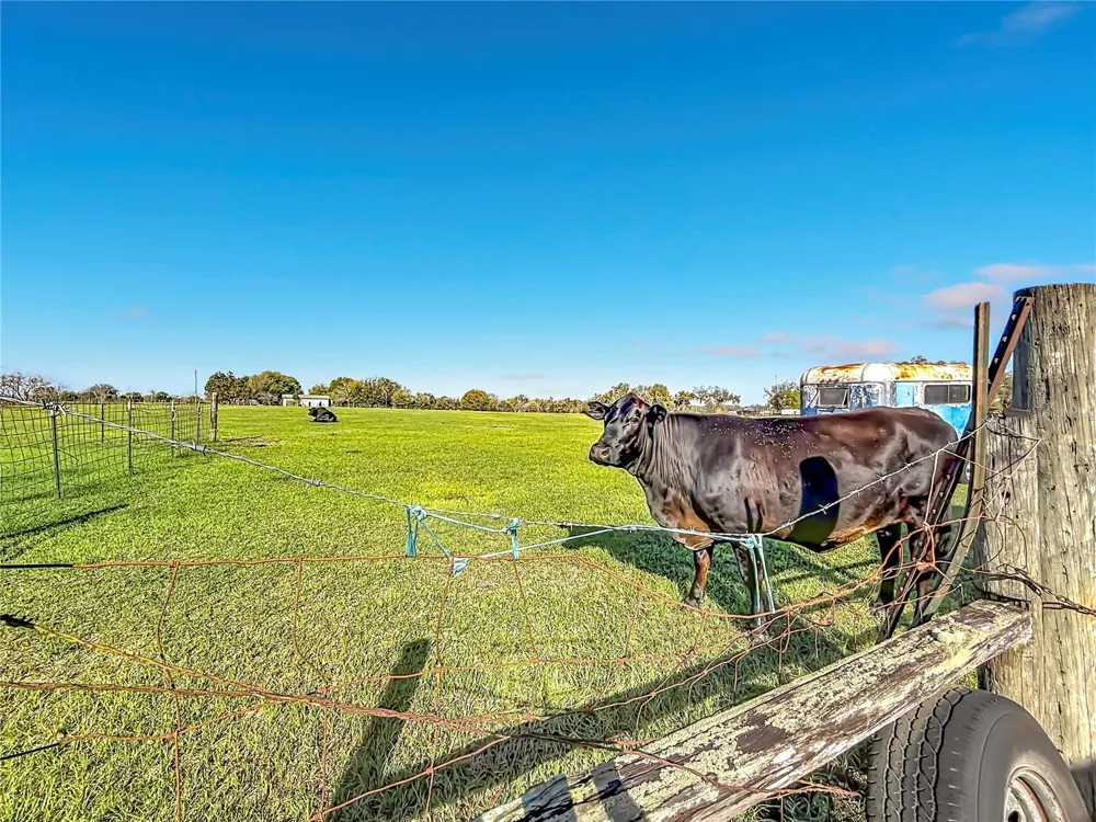 855 NE 107TH ROAD Oxford, FL 34484
