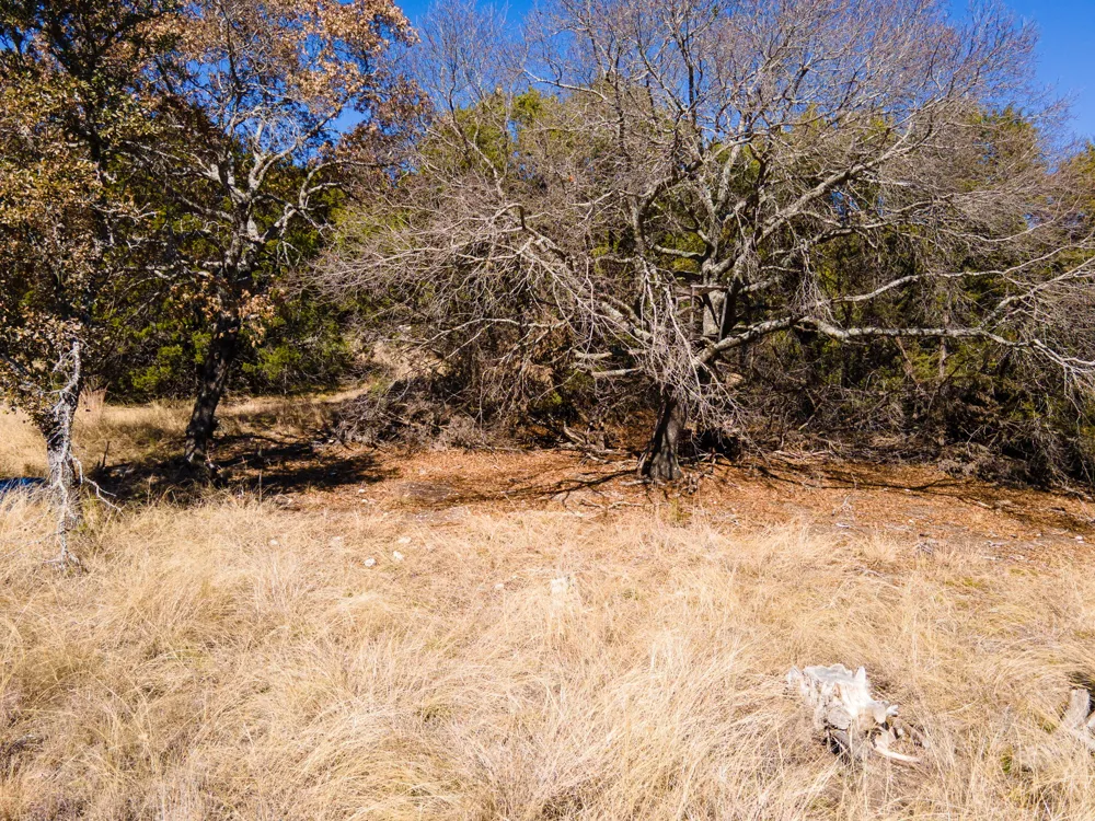 55 Blakely Rd Gatesville, TX 76528