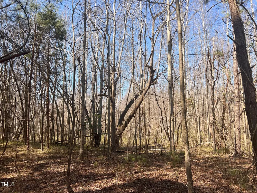 Lot 6 Fishing Creek Road Enfield, NC 27823