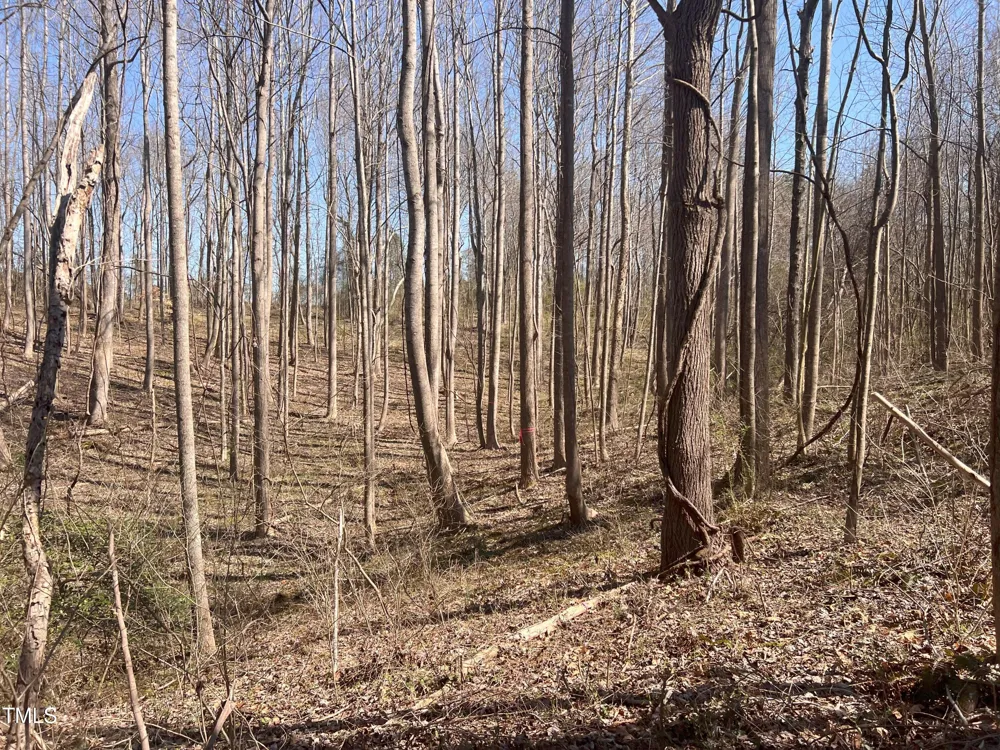Lot 6 Fishing Creek Road Enfield, NC 27823