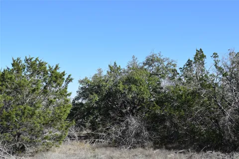 Cheyenne Trail