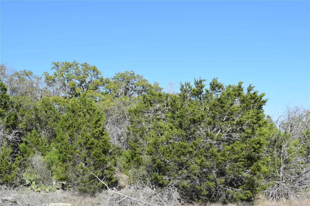 Cheyenne Trail Wimberley, TX 78676