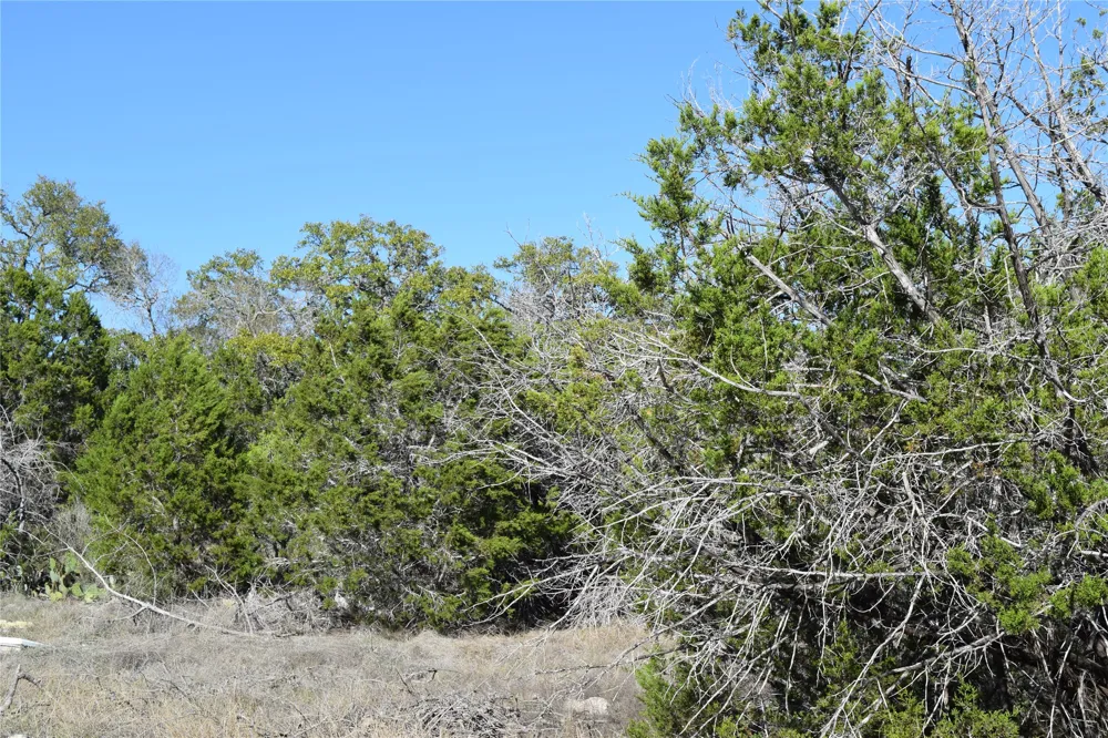 Cheyenne Trail Wimberley, TX 78676