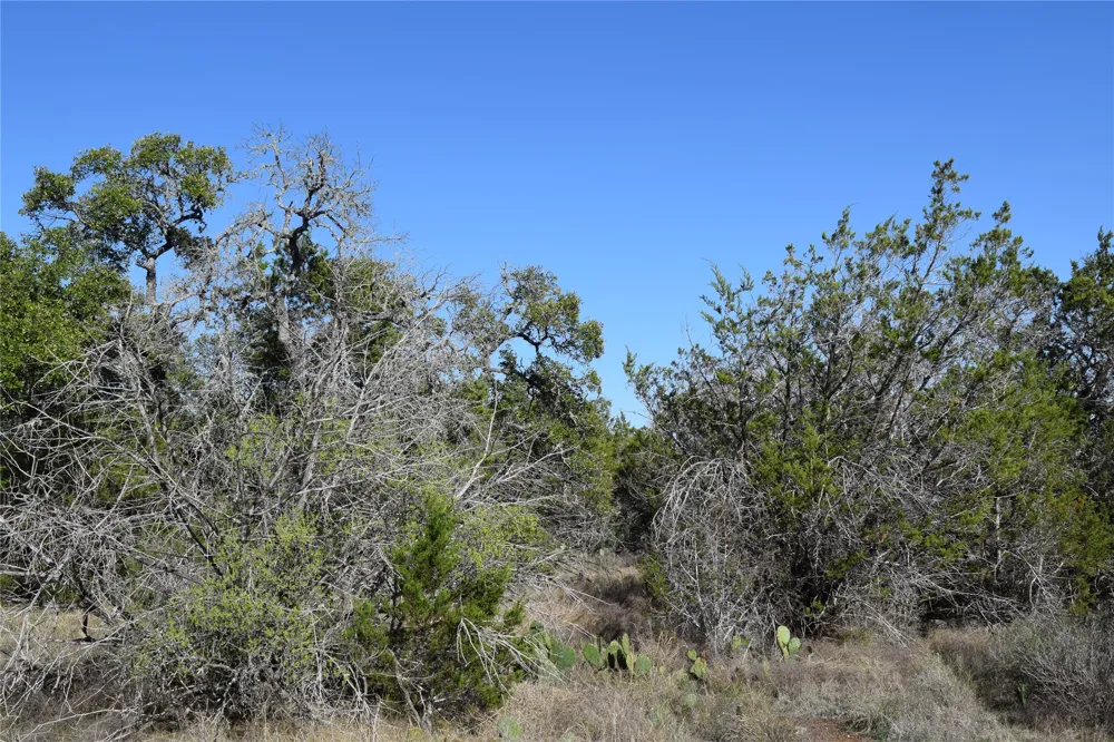 Cheyenne Trail Wimberley, TX 78676
