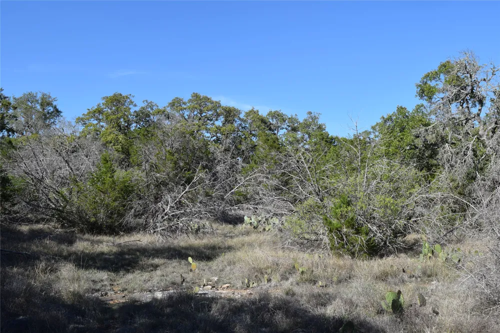 Cheyenne Trail Wimberley, TX 78676