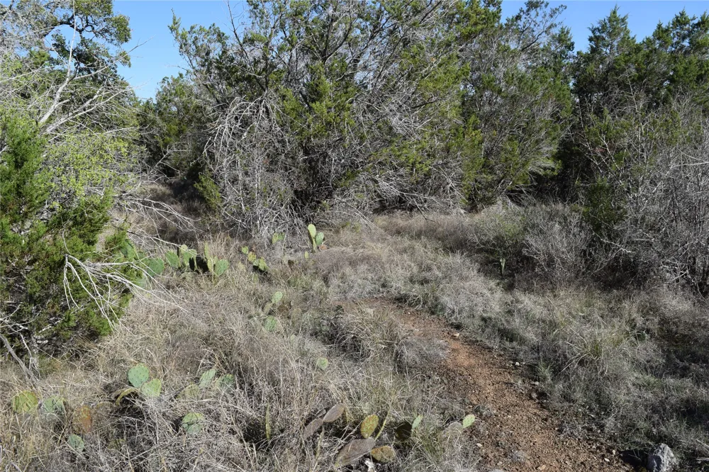 Cheyenne Trail Wimberley, TX 78676