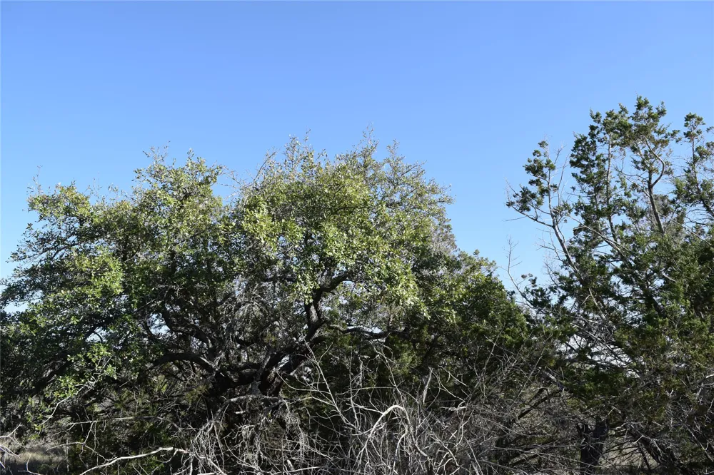 Cheyenne Trail Wimberley, TX 78676
