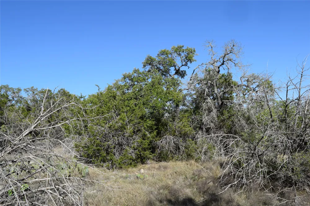 Cheyenne Trail Wimberley, TX 78676