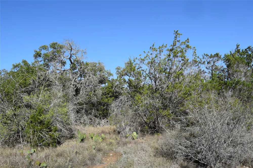 Cheyenne Trail Wimberley, TX 78676