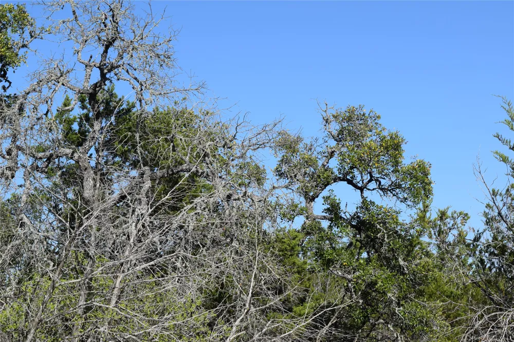 Cheyenne Trail Wimberley, TX 78676