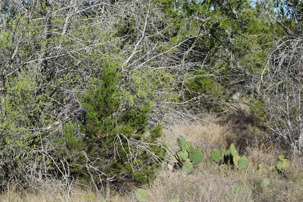 Cheyenne Trail Wimberley, TX 78676