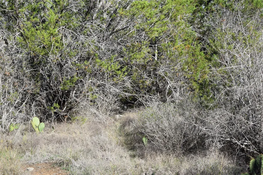 Cheyenne Trail Wimberley, TX 78676