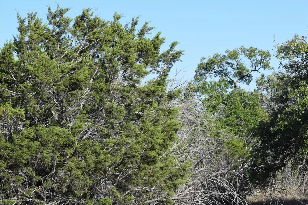 Cheyenne Trail Wimberley, TX 78676