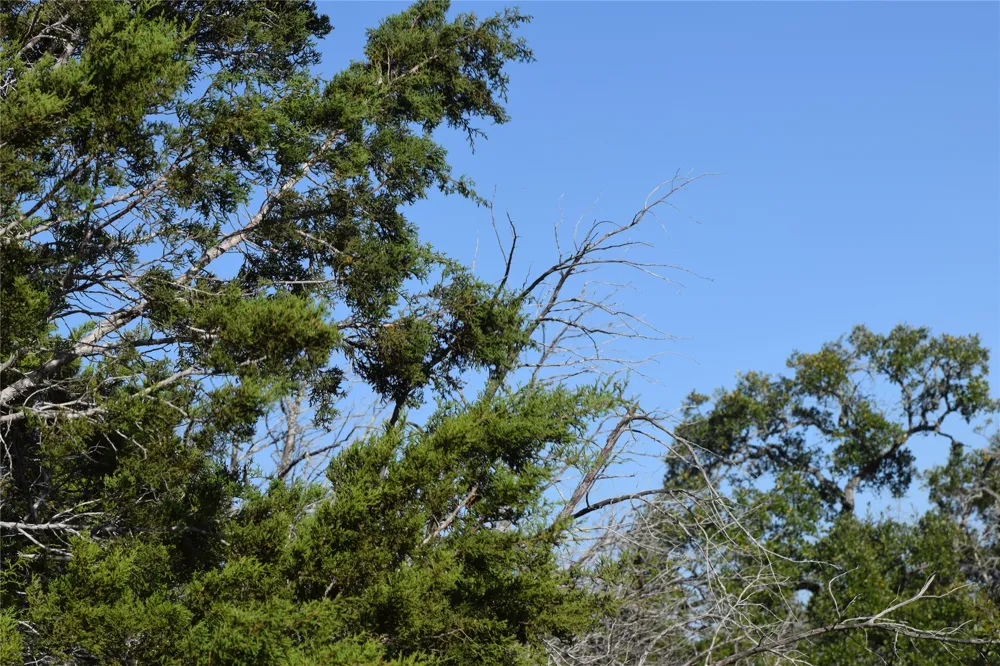 Cheyenne Trail Wimberley, TX 78676