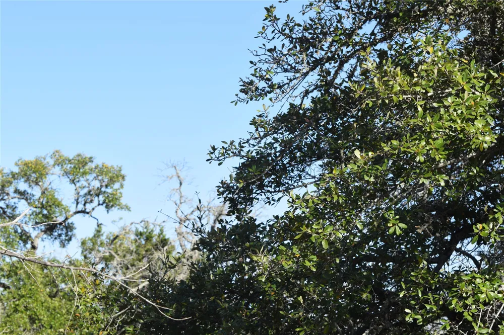 Cheyenne Trail Wimberley, TX 78676