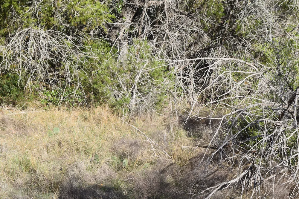 Cheyenne Trail Wimberley, TX 78676