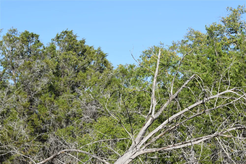 Cheyenne Trail Wimberley, TX 78676