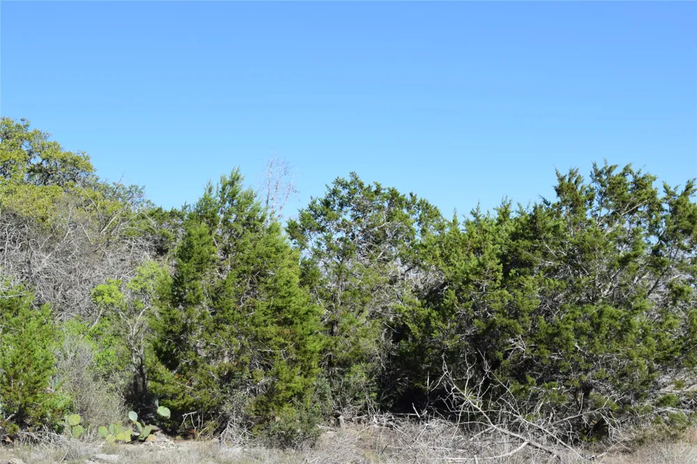 Cheyenne Trail Wimberley, TX 78676
