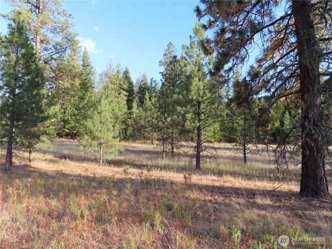 0 Toroda Creek Road