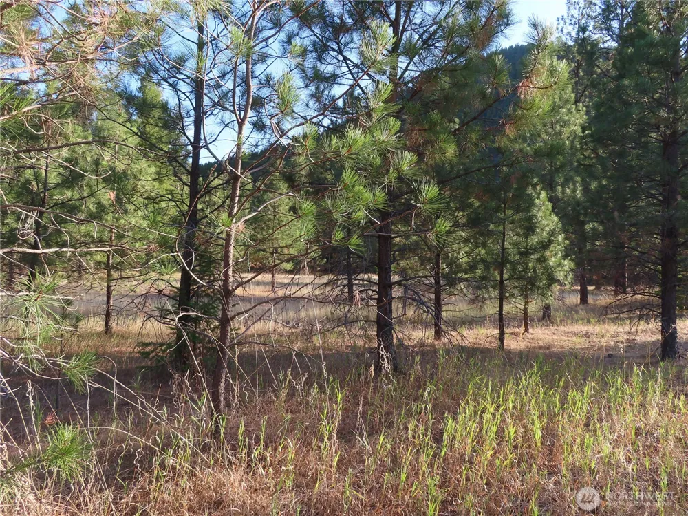 0 Toroda Creek Road Curlew, WA 99118