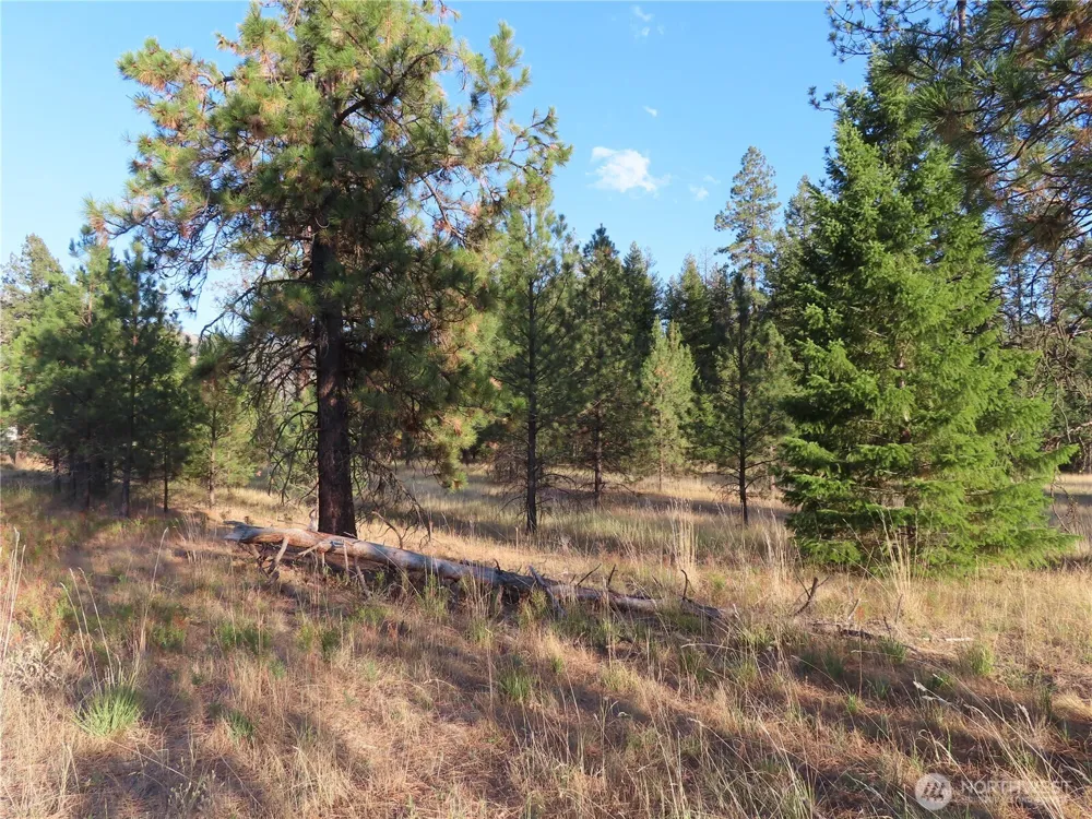 0 Toroda Creek Road Curlew, WA 99118