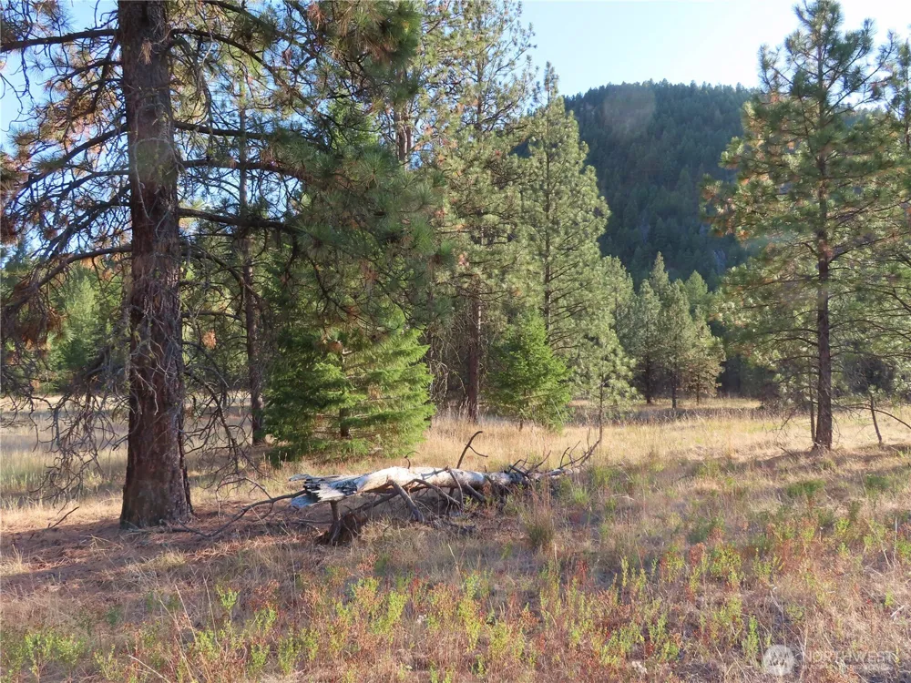 0 Toroda Creek Road Curlew, WA 99118