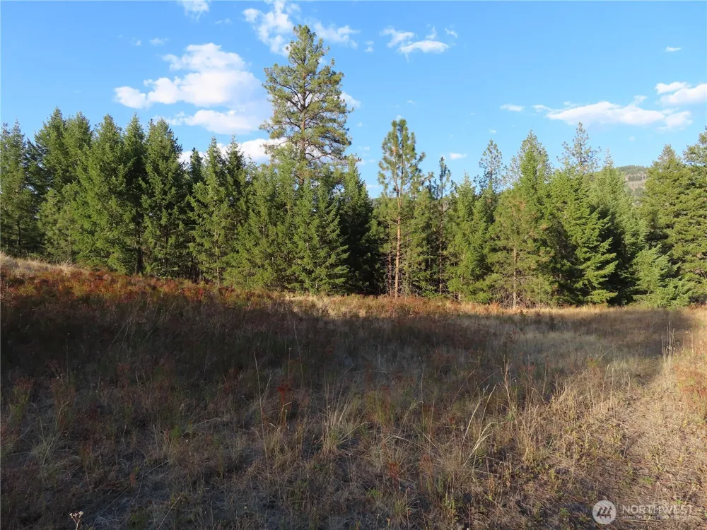 0 Toroda Creek Road Curlew, WA 99118