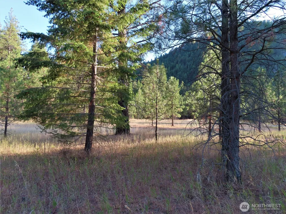 0 Toroda Creek Road Curlew, WA 99118