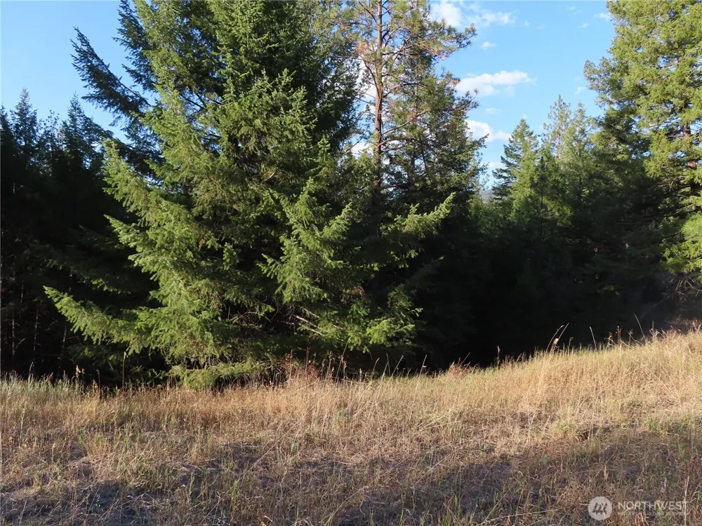 0 Toroda Creek Road Curlew, WA 99118