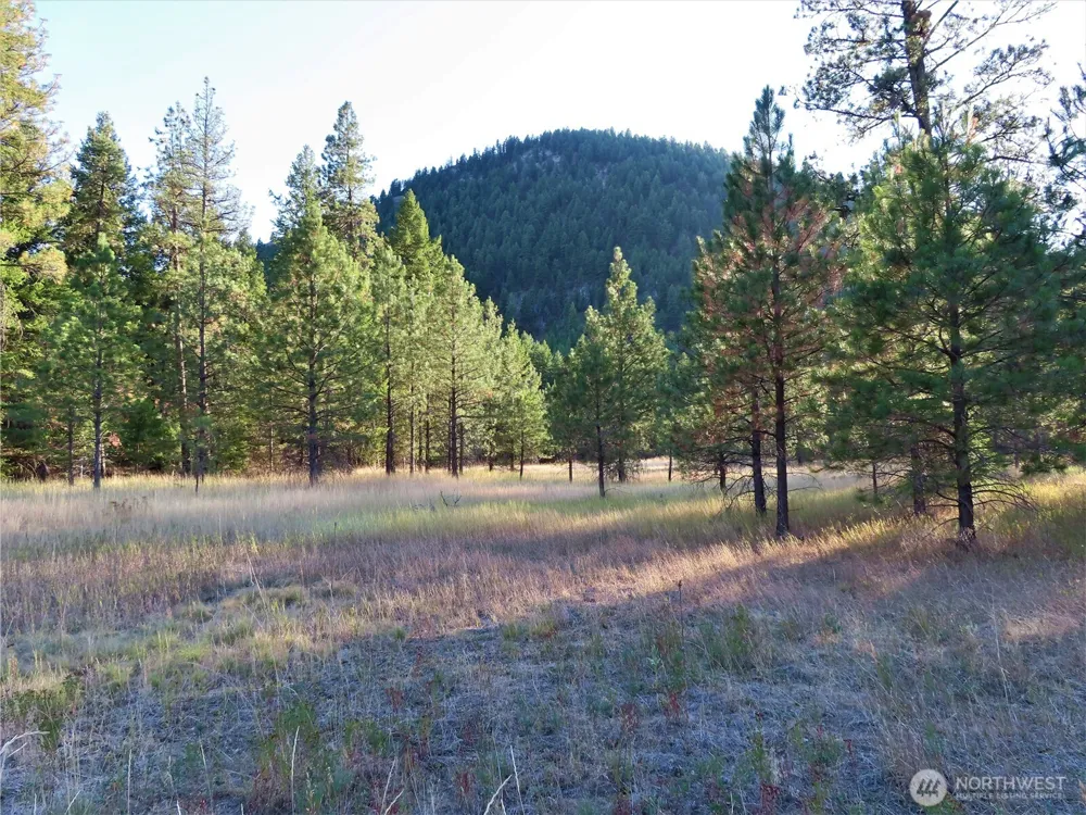 0 Toroda Creek Road Curlew, WA 99118
