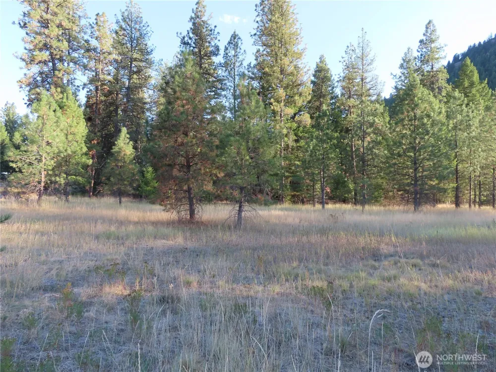 0 Toroda Creek Road Curlew, WA 99118