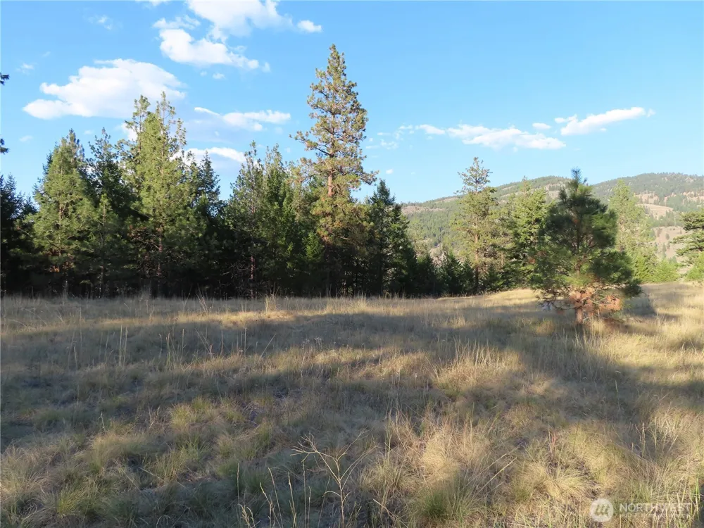 0 Toroda Creek Road Curlew, WA 99118