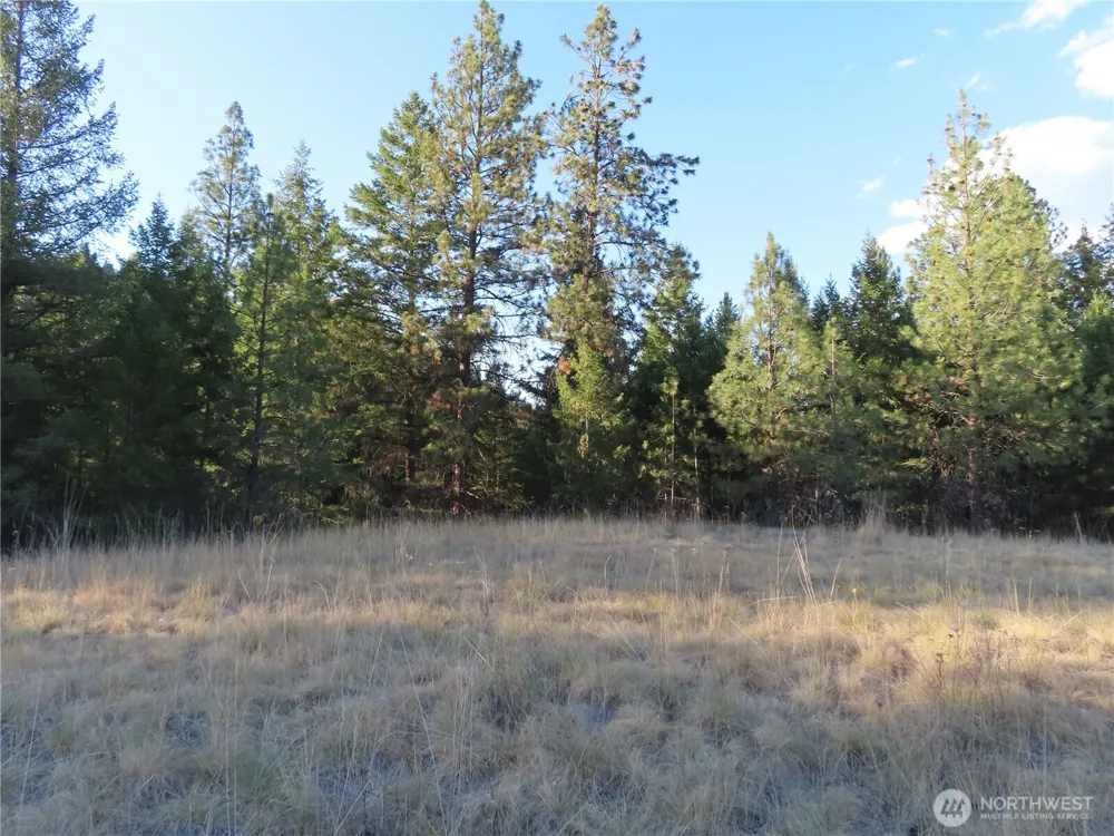 0 Toroda Creek Road Curlew, WA 99118