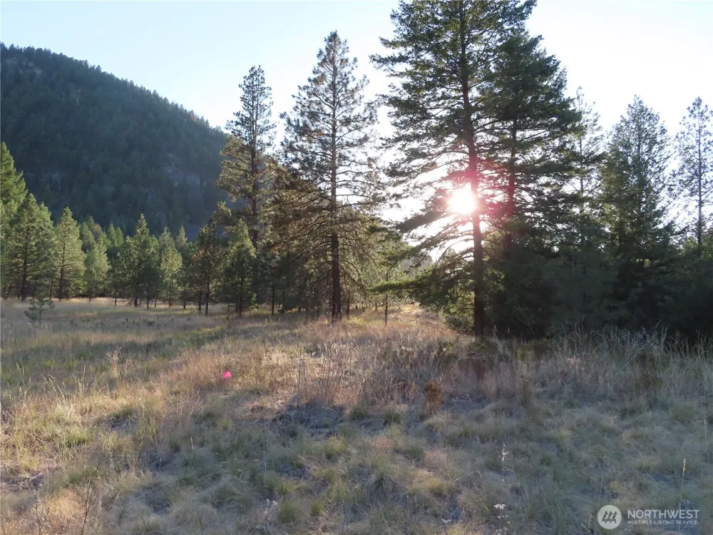 0 Toroda Creek Road Curlew, WA 99118