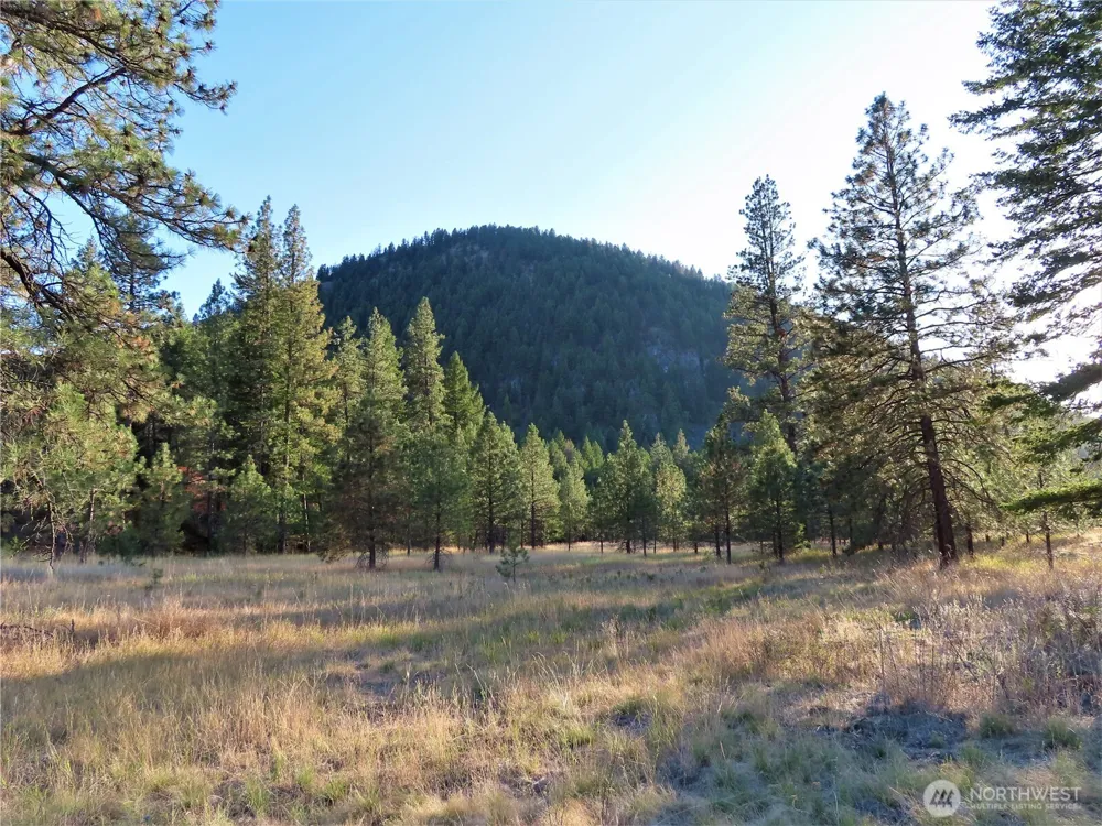 0 Toroda Creek Road Curlew, WA 99118