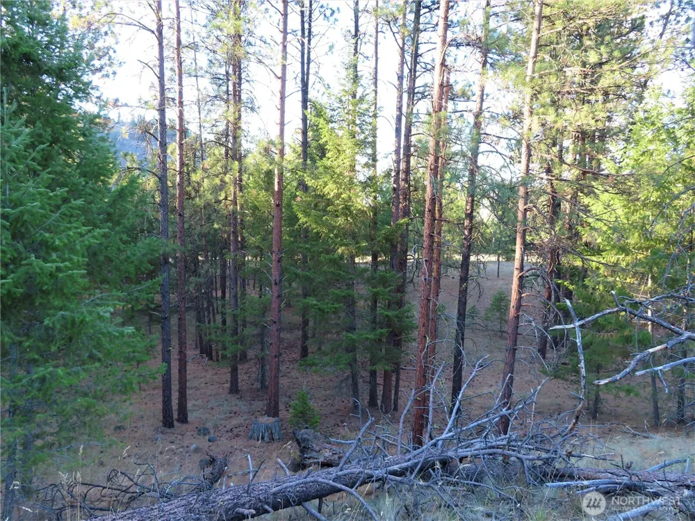 0 Toroda Creek Road Curlew, WA 99118