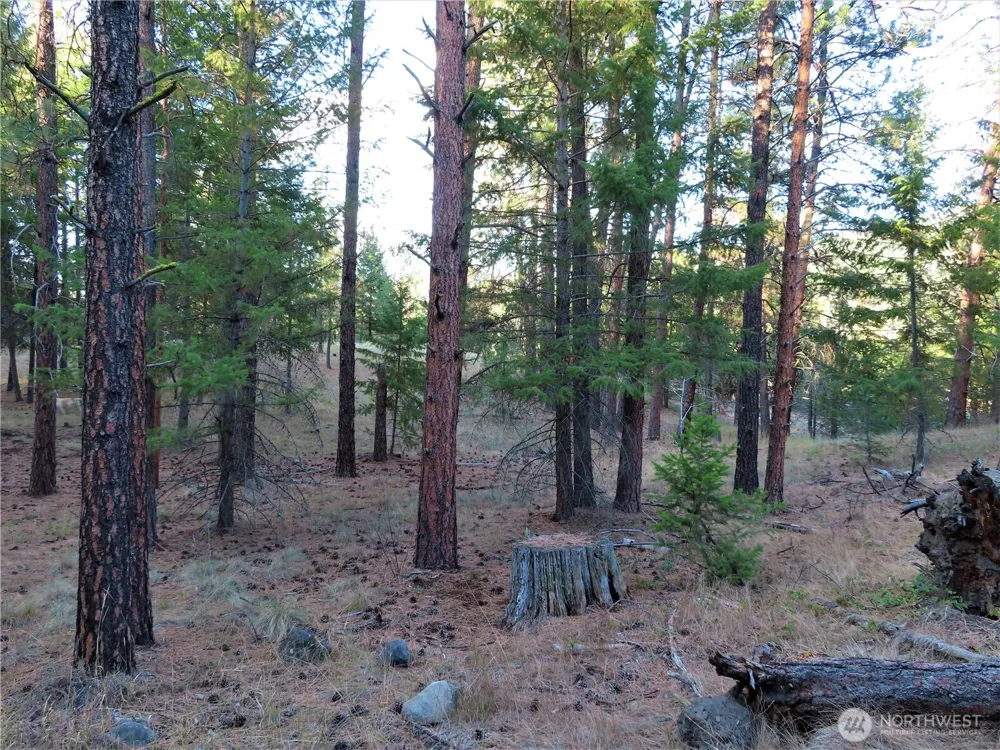 0 Toroda Creek Road Curlew, WA 99118