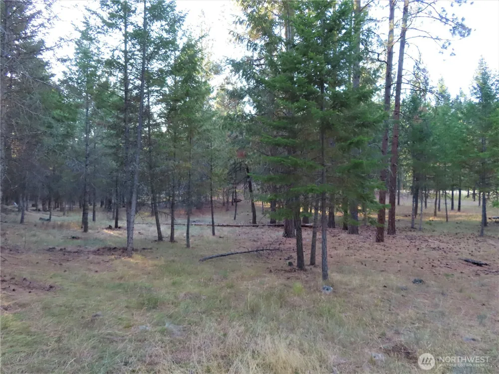 0 Toroda Creek Road Curlew, WA 99118