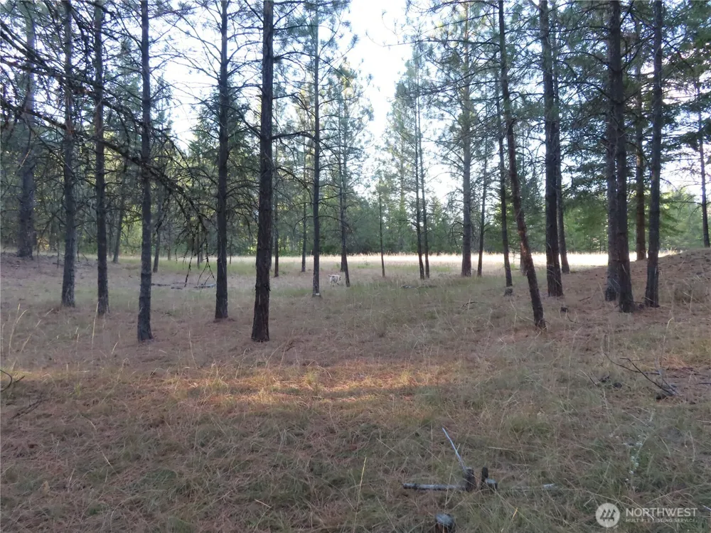 0 Toroda Creek Road Curlew, WA 99118