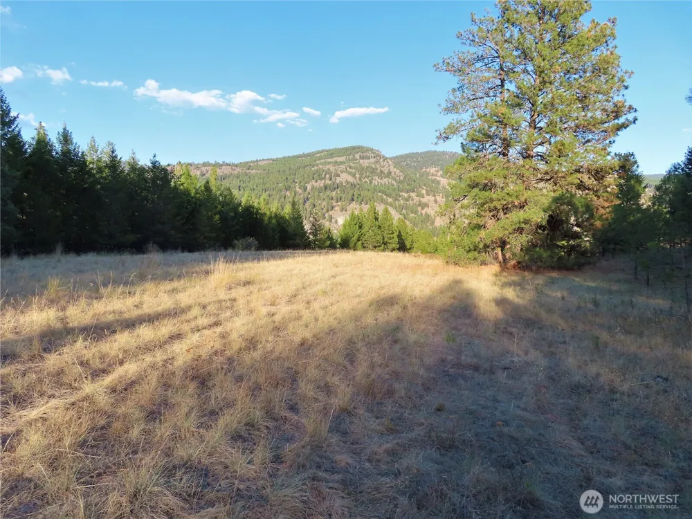 0 Toroda Creek Road Curlew, WA 99118