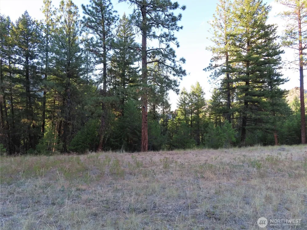 0 Toroda Creek Road Curlew, WA 99118