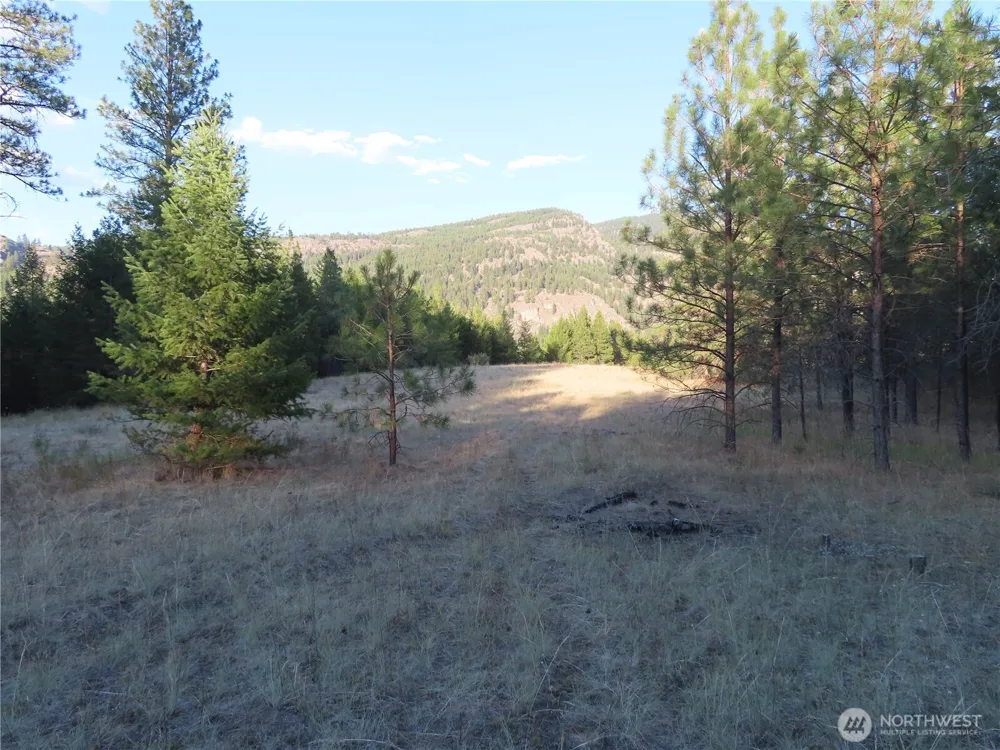 0 Toroda Creek Road Curlew, WA 99118
