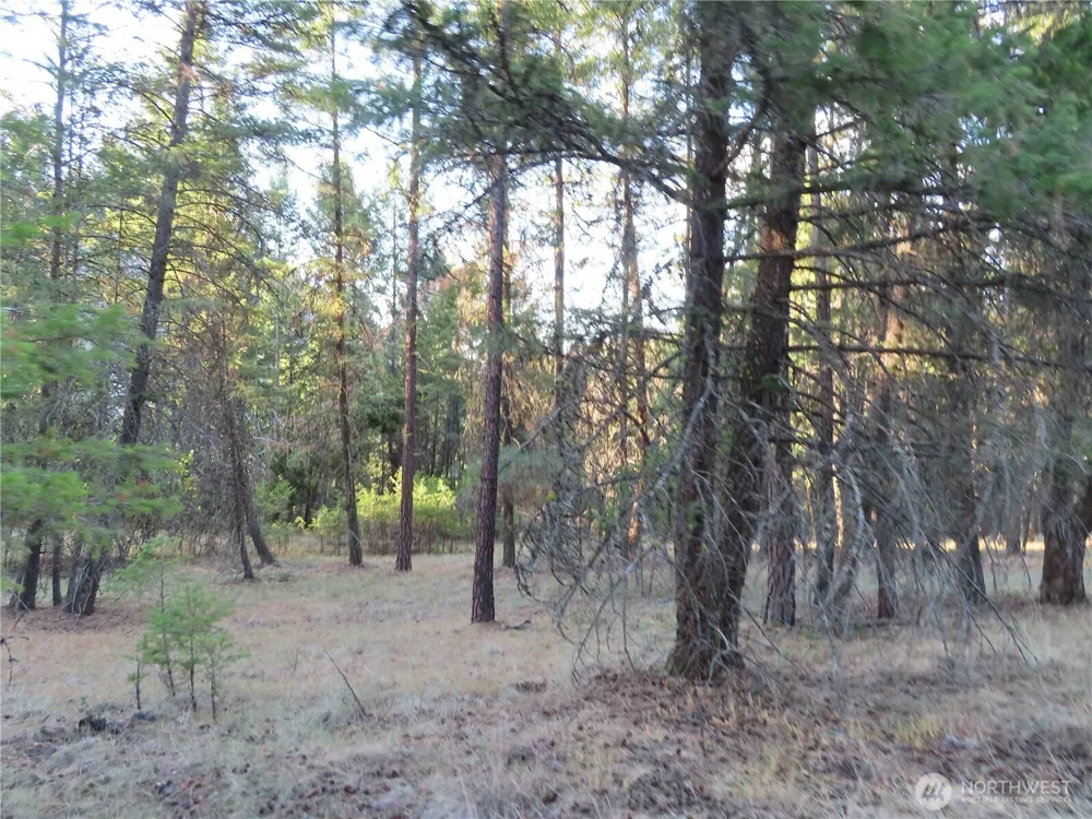 0 Toroda Creek Road Curlew, WA 99118