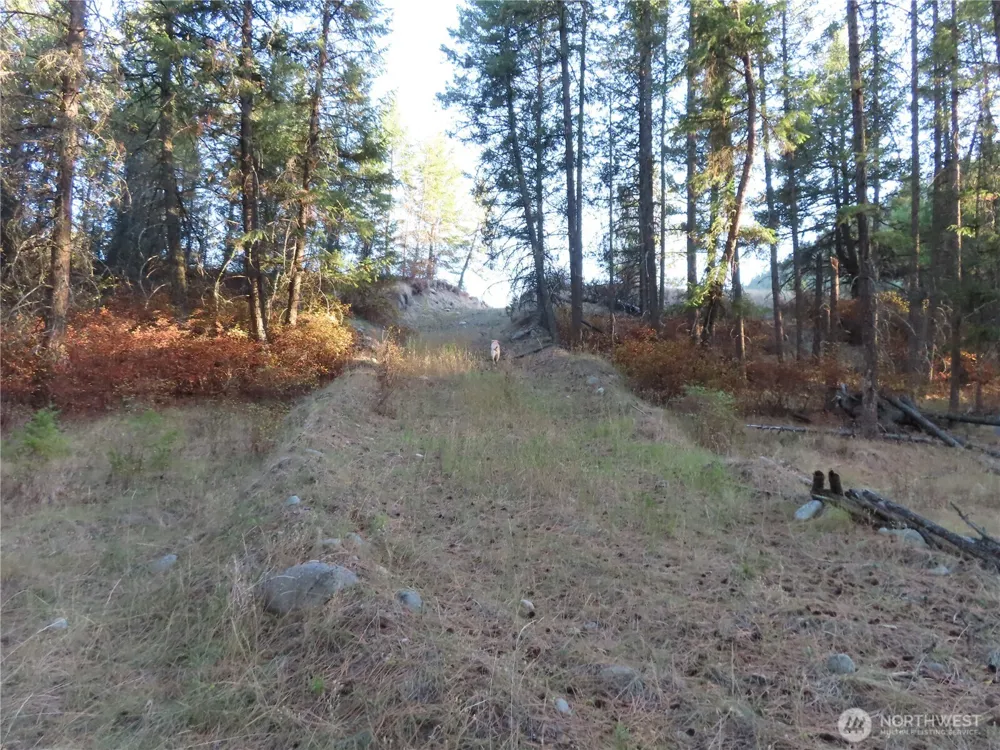 0 Toroda Creek Road Curlew, WA 99118