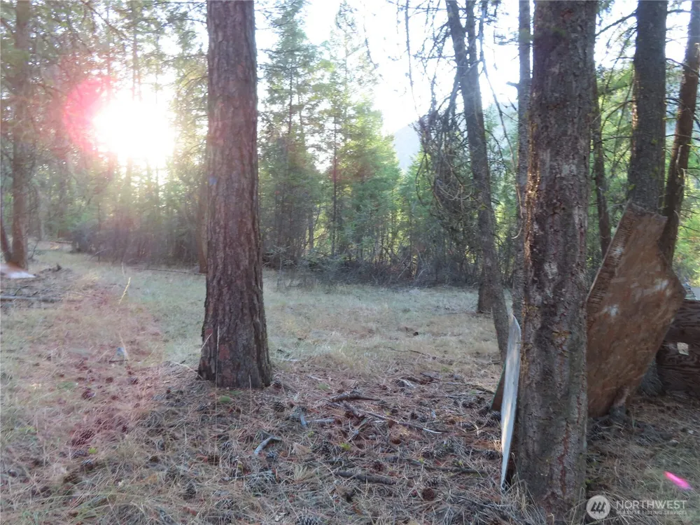 0 Toroda Creek Road Curlew, WA 99118