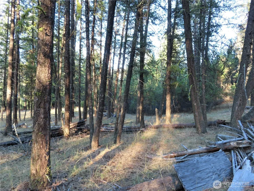 0 Toroda Creek Road Curlew, WA 99118