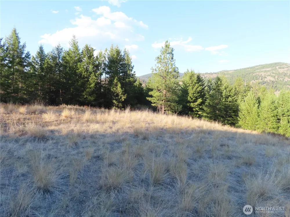 0 Toroda Creek Road Curlew, WA 99118